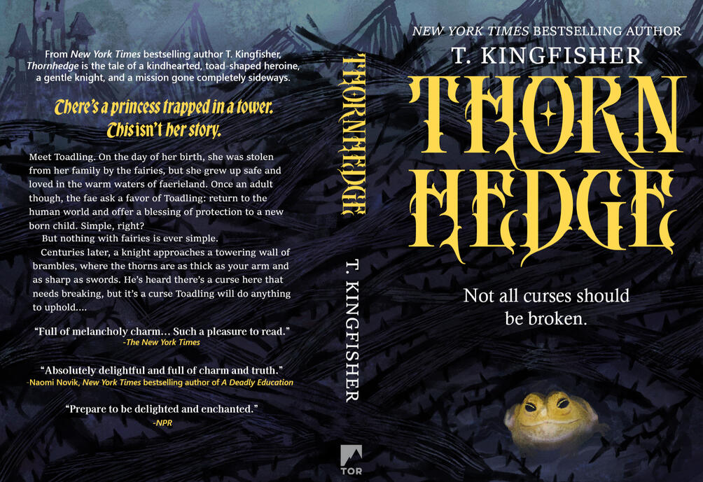 Thornhedge Book Cover Redesign #1 MMA Visual Communication October 2025